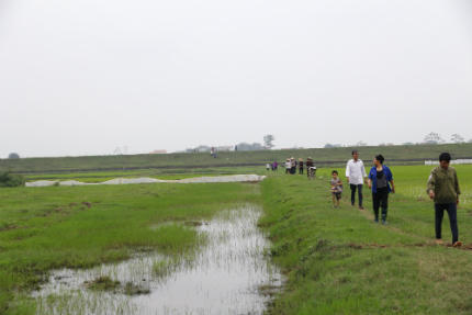 Phó chủ tịch xã Kim Lũ: “Kiện mãi rồi cũng sẽ nhận ruộng thôi”